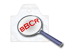 Bag Ban Compliance Report website